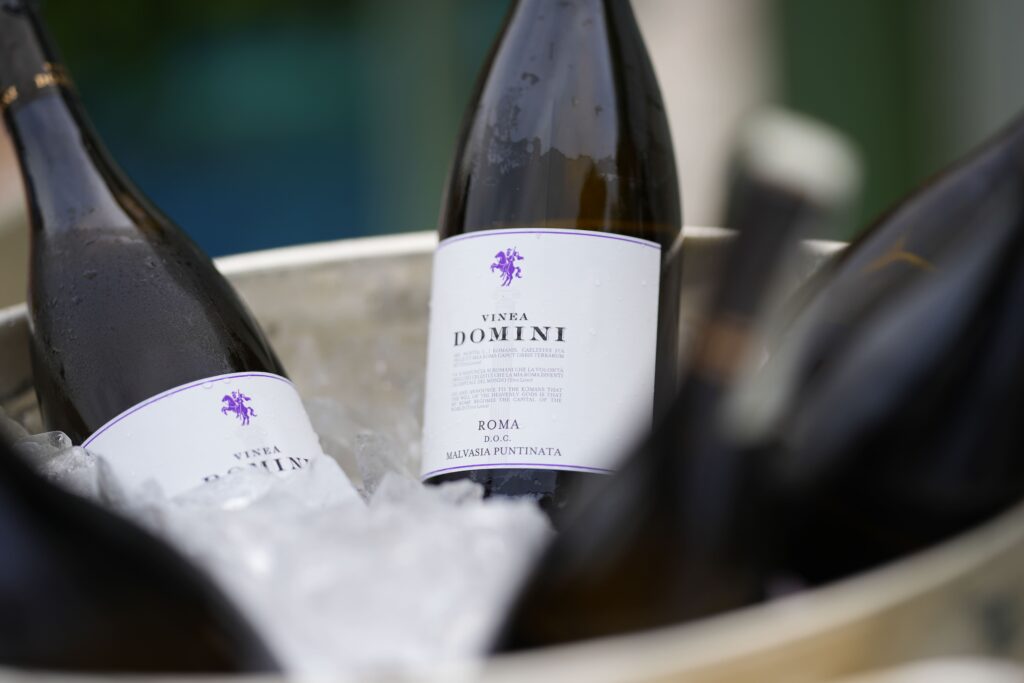 Vinea Domini al Vinoforum 2022