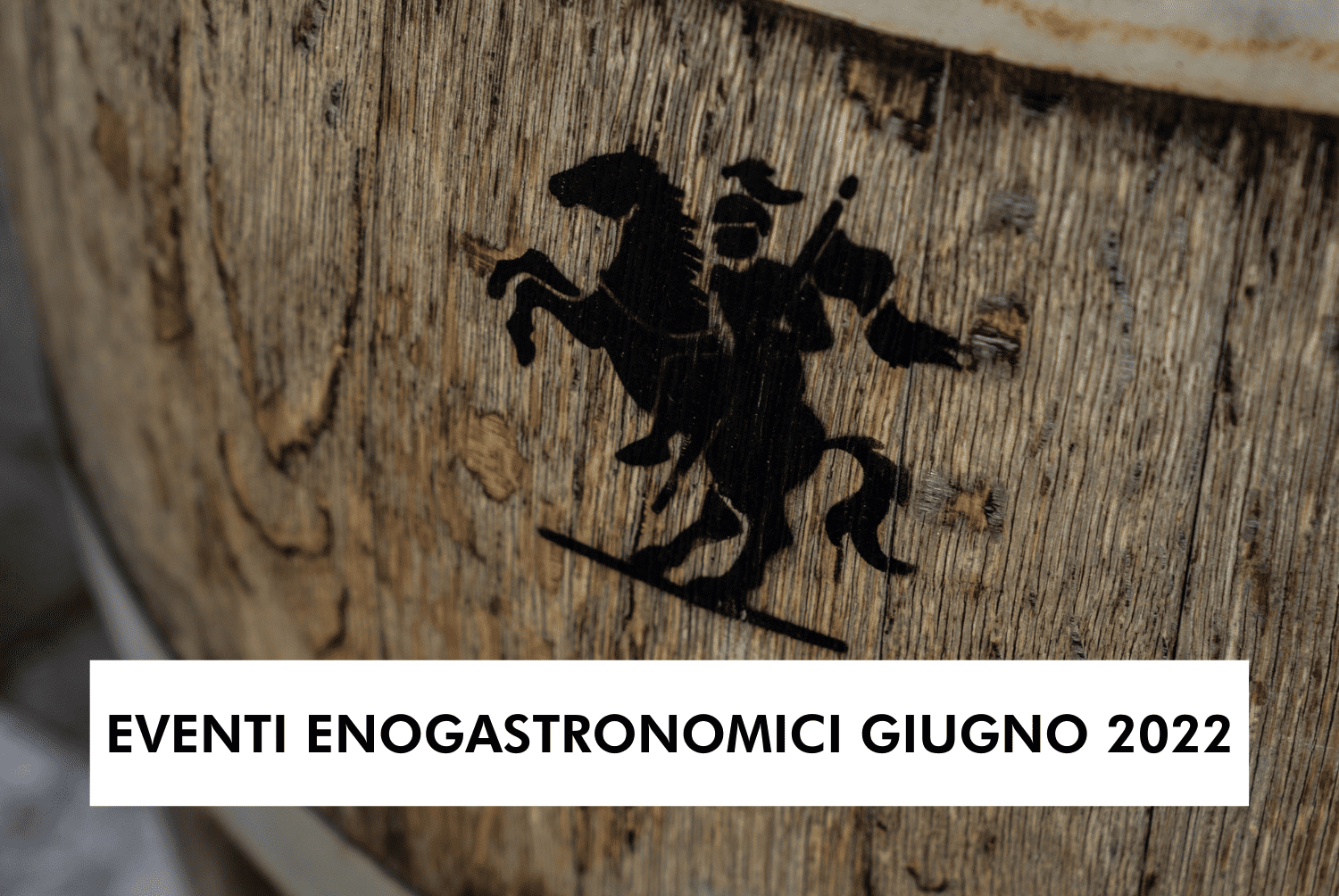 Vinea Domini in tour