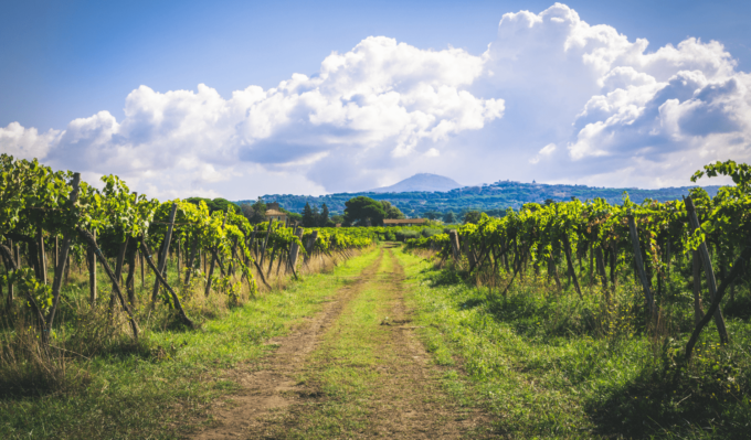 Castelli Romani: alla scoperta del territorio
