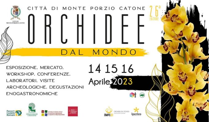 vineadomini-orchidee-dal-mondo