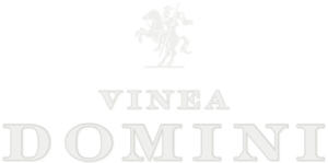 Logo Vinea Domini